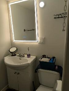 Basement For Rent, One bedroom Apt  with walkout to yard. - Photo 8