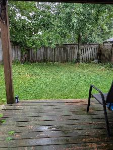 Basement For Rent, One bedroom Apt  with walkout to yard. - Photo 11