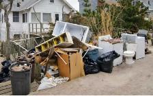 Junk removal and shed deck demolition - Photo 5