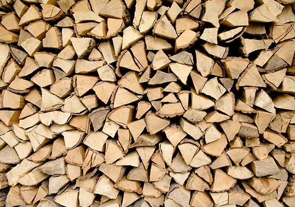Bois de chauffage ou bois de camping !