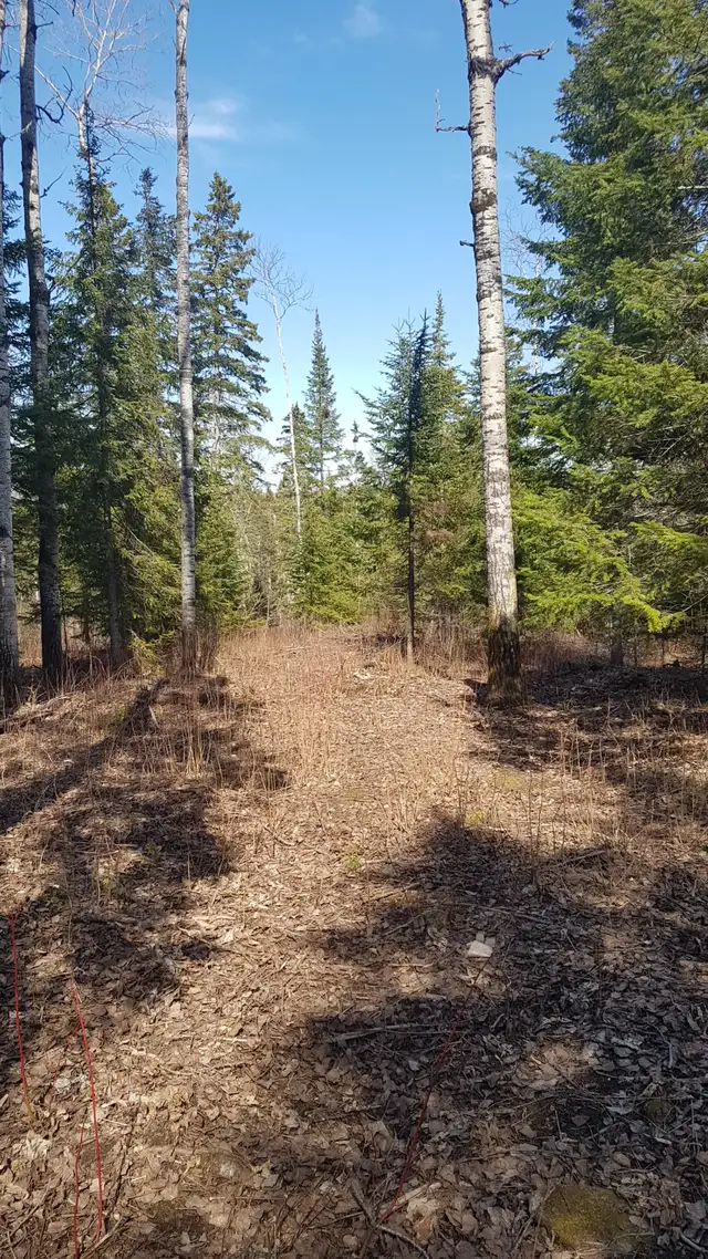 Terrains à louer à Roberval !