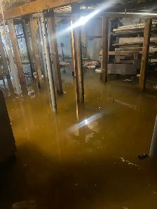 FLOODED BASEMENT? FAST FLOOD DEBRIS REMOVAL – SAME-DAY SERVICE! - Photo 2