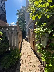 Basement apartment for rent
