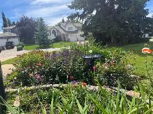 Gorgeous Home for Sale - Photo 9