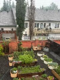 Gorgeous Home for Sale - Photo 10