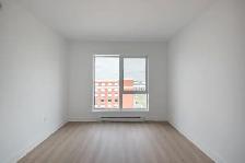 1 month free. 2 bedroom apartment in Pointe-Claire for rent - Photo 14