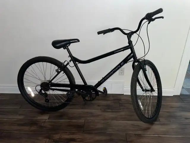 Pathway Hybrid Comfort Bike