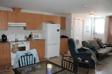 Cowansville - GRAND 3 ½ demi sous-sol 750 $