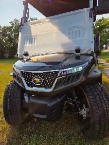 2027 D-Max Lithium Electric Golf Cart & Street Machine - Photo 3