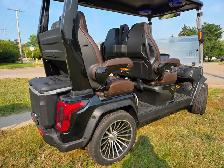 2027 D-Max Lithium Electric Golf Cart & Street Machine - Photo 5