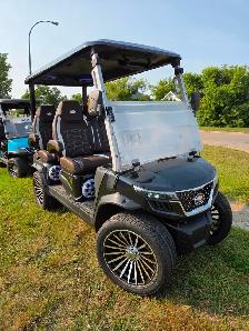 2027 D-Max Lithium Electric Golf Cart & Street Machine - Photo 7