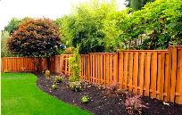 Just Fences - Photo 7