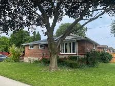 MOHAWK COLLEGE STUDENT RENTAL AVAIALBLE SEPTEMBER 1 - Photo 2
