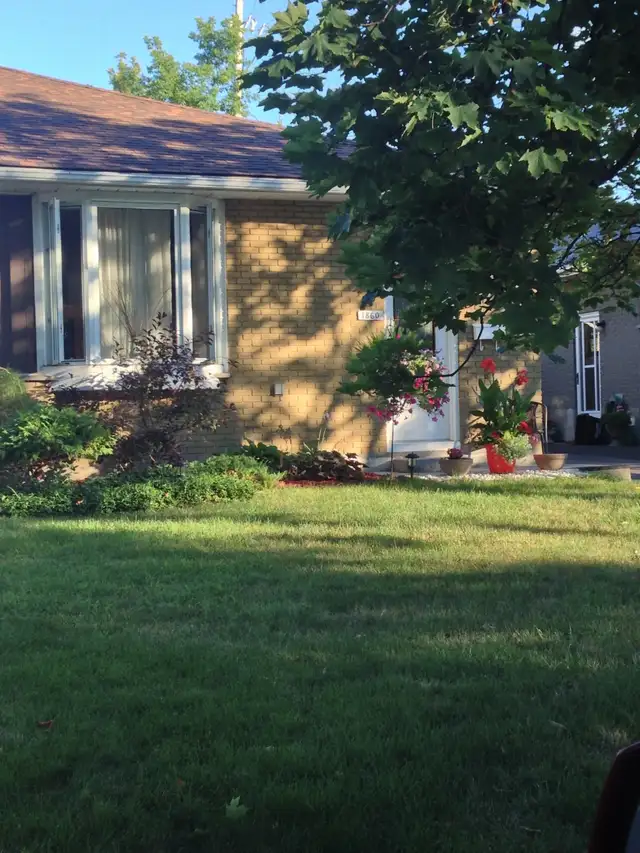 McKellar Park/Westboro Apartment For Rent