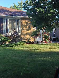 McKellar Park/Westboro Apartment For Rent