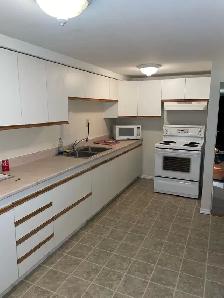 McKellar Park/Westboro Apartment For Rent - Photo 2