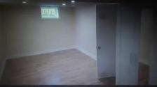 1 Bedroom basement Walkout Apartment Toronto, utilities included - Photo 4