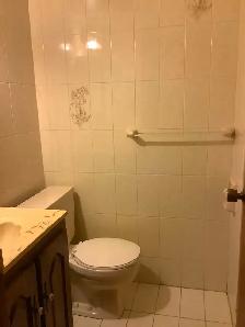 1 Bedroom basement Walkout Apartment Toronto, utilities included - Photo 5