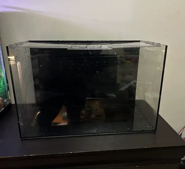 10 gallon tank (TANK ONLY)