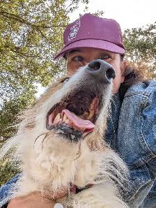 dog walking/dog sitting - Photo 4