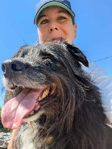 dog walking/dog sitting - Photo 7
