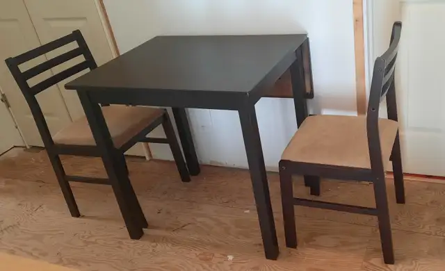 Table and 2 chairs