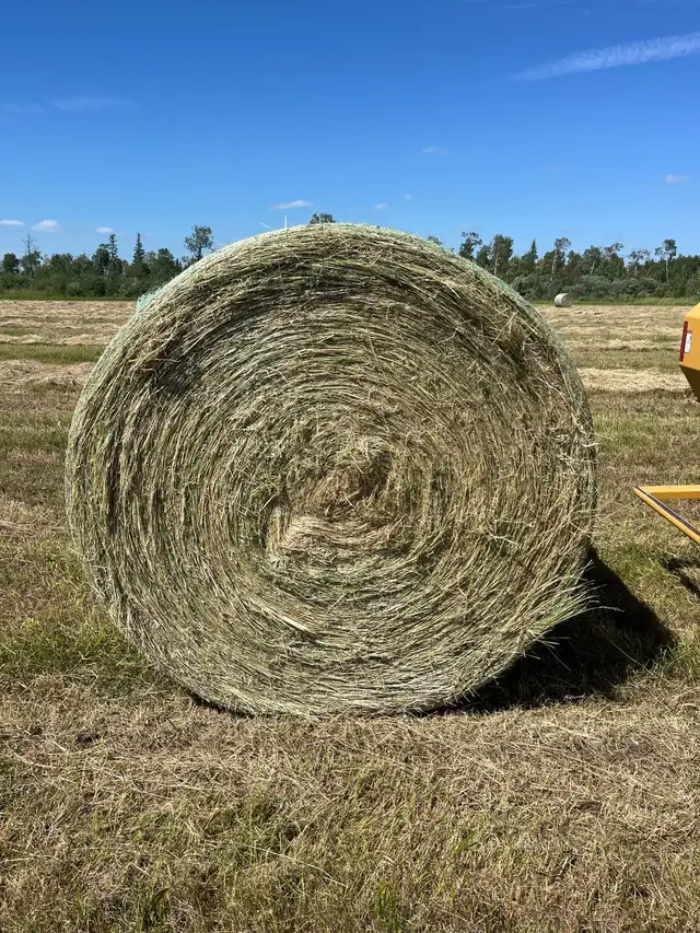 2026 hay for sale