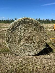 2026 hay for sale