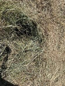2026 hay for sale - Photo 2