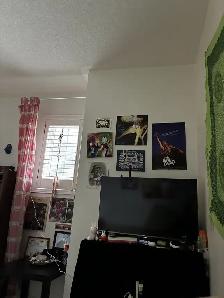 Rent Room near UTM, September 1st- Female Student/Young Professi - Photo 2