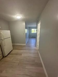 Bachelor Available Now in Minnow Lake - Photo 3