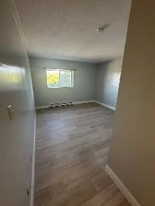 Bachelor Available Now in Minnow Lake - Photo 4