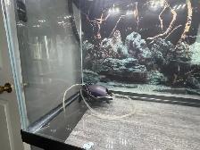 30 gallon Aquarium tank,  top lid/light filter - Photo 3