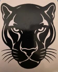 Decals and stickers  on High reflective film - Photo 2