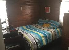 Room for Rent in Welland - All Inclusive - Photo 7
