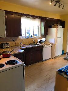 Furnished Rm on Main Floor for Rent on Bellamy Rd n Lawrence Ave - Photo 2