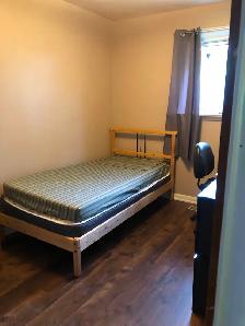 Furnished Rm on Main Floor for Rent on Bellamy Rd n Lawrence Ave - Photo 3