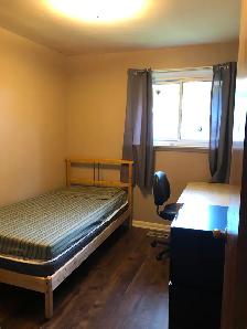 Furnished Rm on Main Floor for Rent on Bellamy Rd n Lawrence Ave - Photo 4