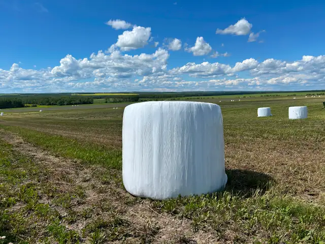 Silage Bales for Sale