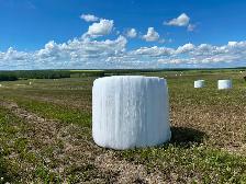 Silage Bales for Sale
