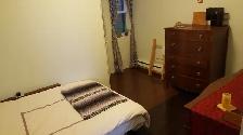 One bedroom apt for rent in downtown Toronto - Photo 2