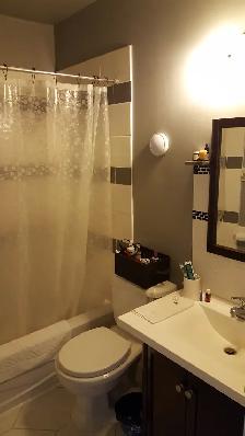 One bedroom apt for rent in downtown Toronto - Photo 3