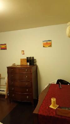 One bedroom apt for rent in downtown Toronto - Photo 4