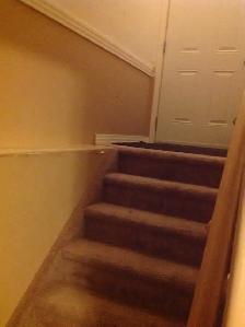 Two Bedroom Basement Suite for rent in Willowgrove - Photo 6