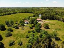 Equine Farm Hand Wanted