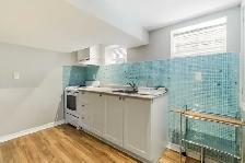 Whole Basement for Rent near Keel st & Lawrence ave - Photo 3