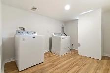 Whole Basement for Rent near Keel st & Lawrence ave - Photo 10