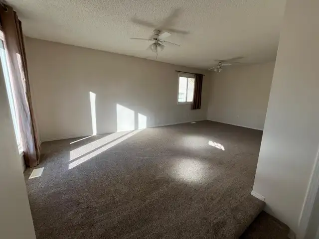 3 Bed/2FullBath-WalkToUofA-InSuiteLaundry-Utilities Included