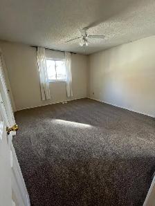 3 Bed/2FullBath-WalkToUofA-InSuiteLaundry-Utilities Included - Photo 4