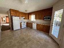 3 Bed/2FullBath-WalkToUofA-InSuiteLaundry-Utilities Included - Photo 5
